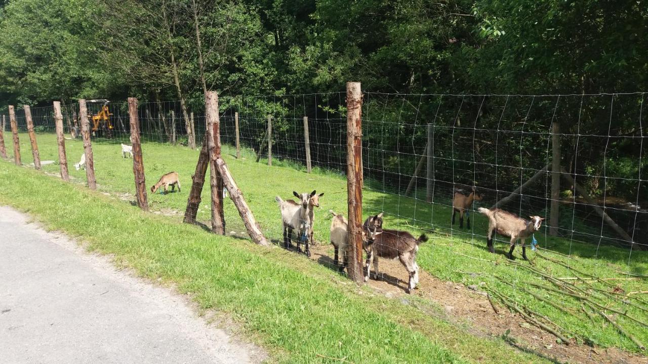 Agroturystyka,, Ranczo Kruszynki" Stronie Śląskie Exterior foto