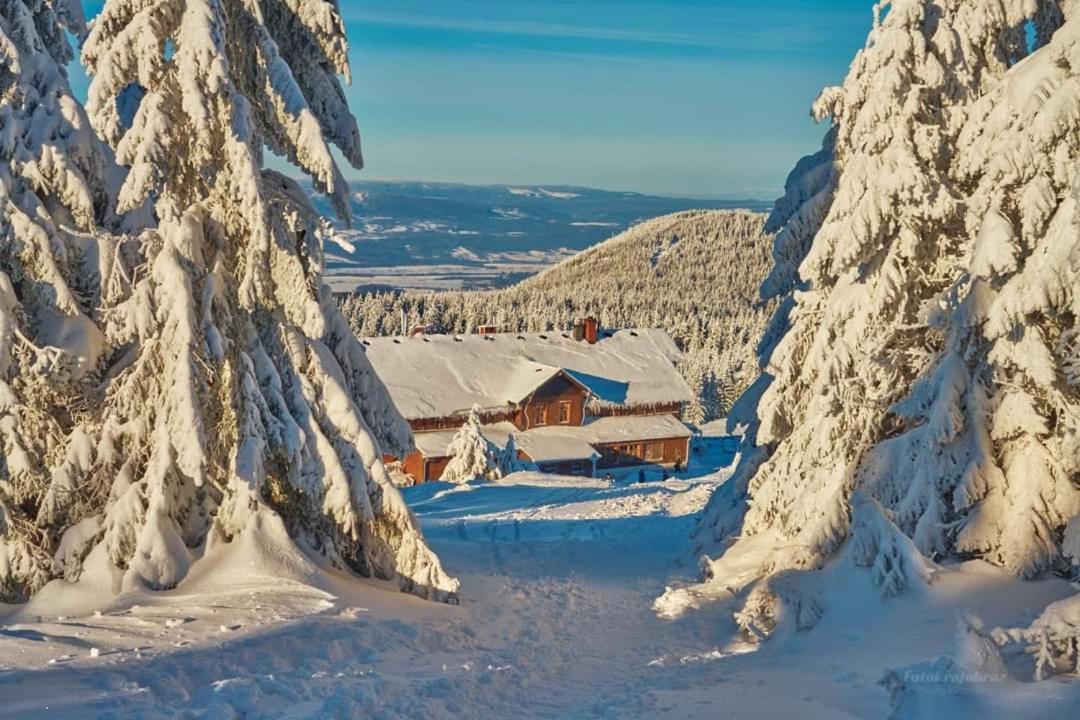 Agroturystyka,, Ranczo Kruszynki" Stronie Śląskie Exterior foto
