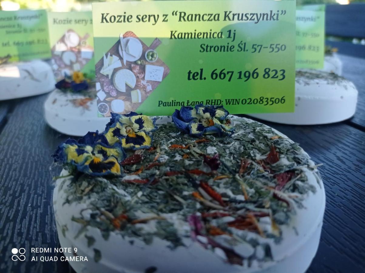 Agroturystyka,, Ranczo Kruszynki" Stronie Śląskie Exterior foto